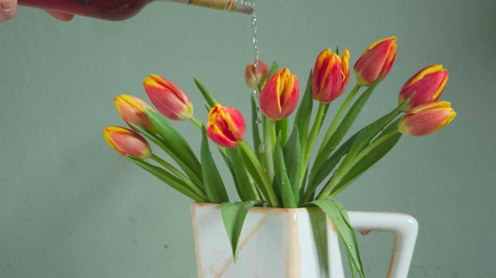 Giftable Goodies: New Makers We Love