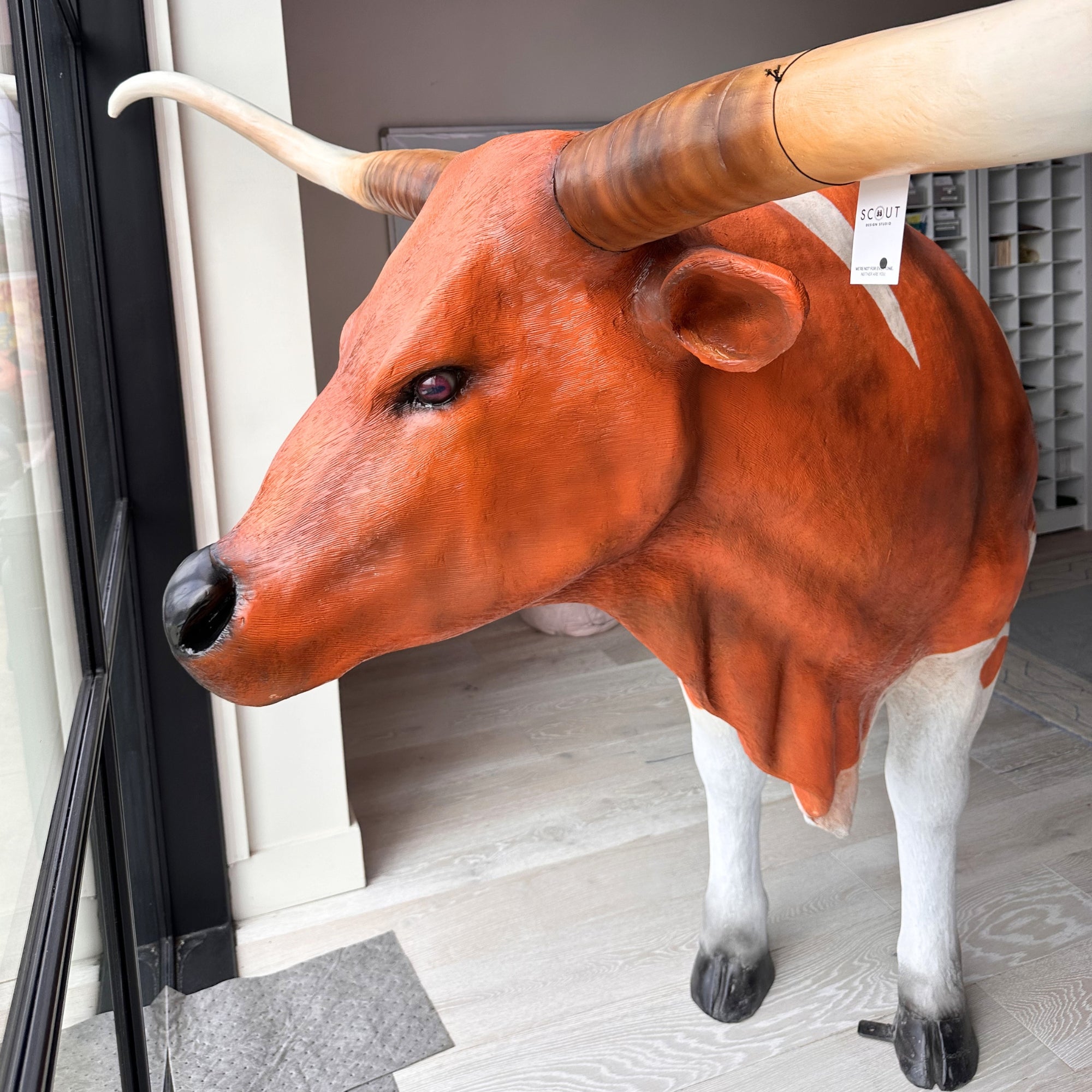 Curiosities – Scout Design Studio