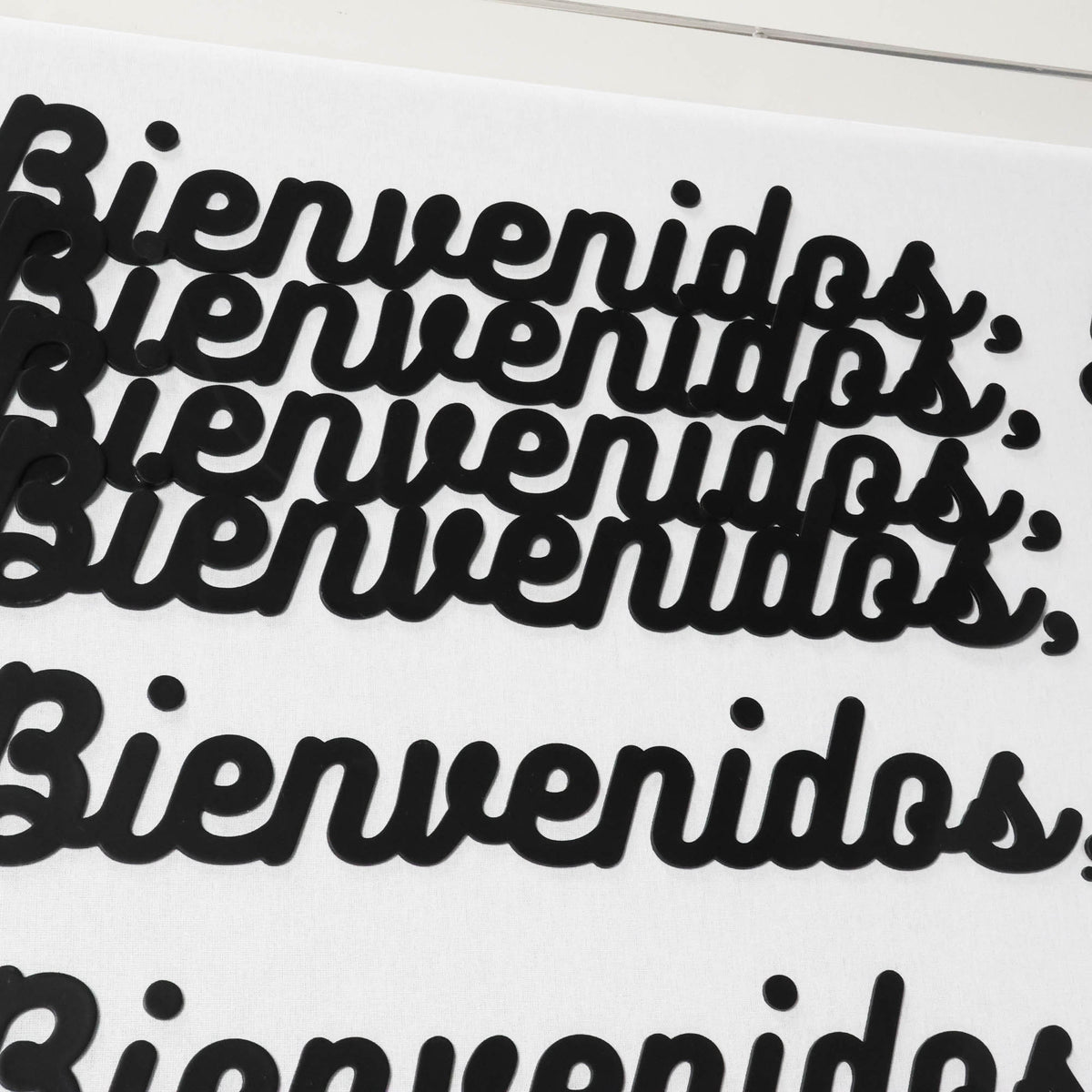 Bienvenidos Y’all - view 4 of 6