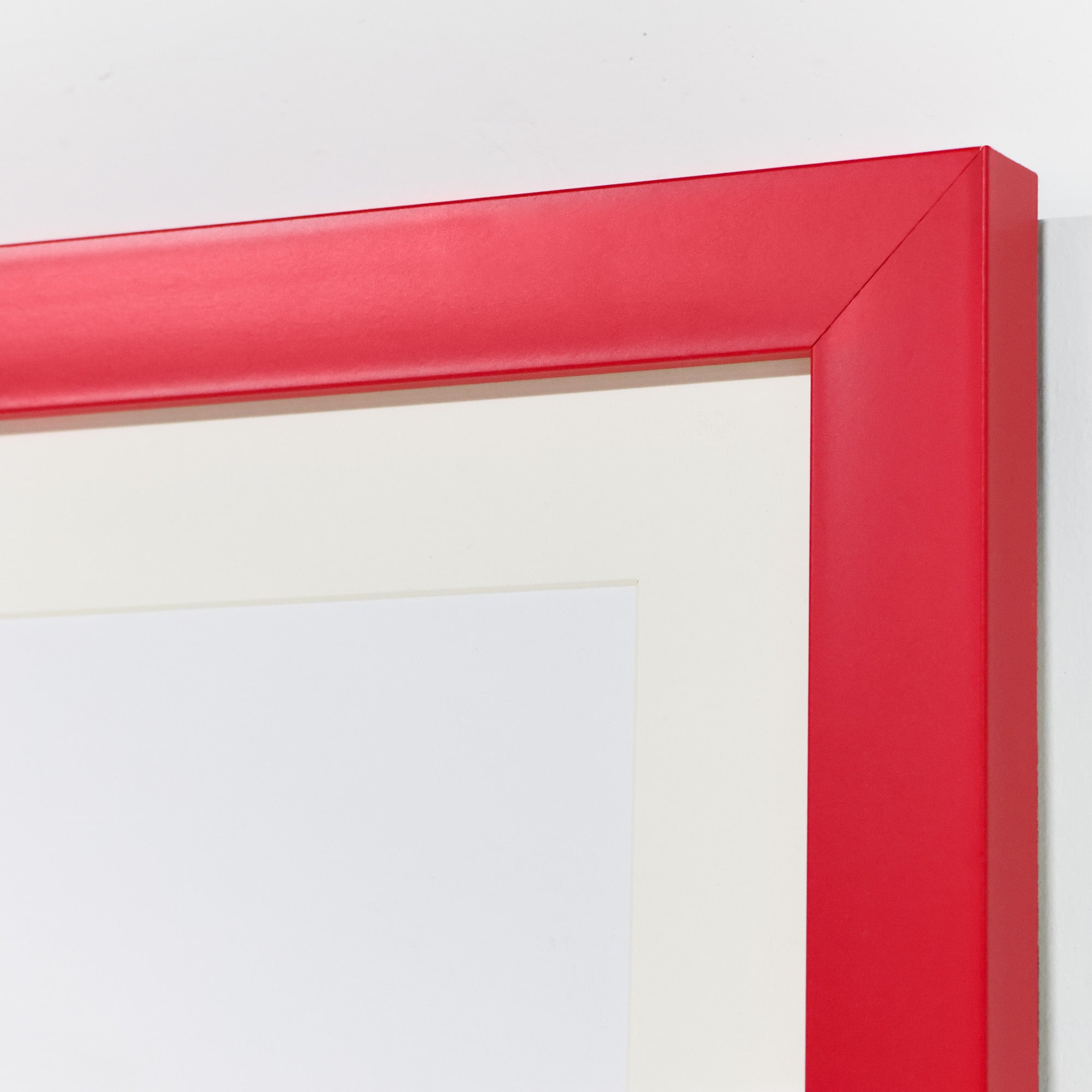 Bite Back Series - Olive | Snake Art with Red Frame – Scout Design