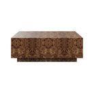 #color_provincial-mappa-burl