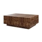 #color_provincial-mappa-burl