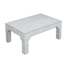 #color_squiggle-soft-blue-on-cream-with-clario-ice-velvet-piping