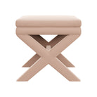 #color_monique-baby-pink-velvet