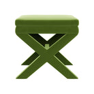 #color_paige-ivy-green-velvet