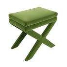 #color_paige-ivy-green-velvet