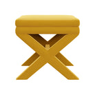 #color_reem-ochre-velvet