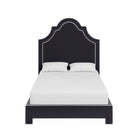 #color_oxford-midnight-velvet