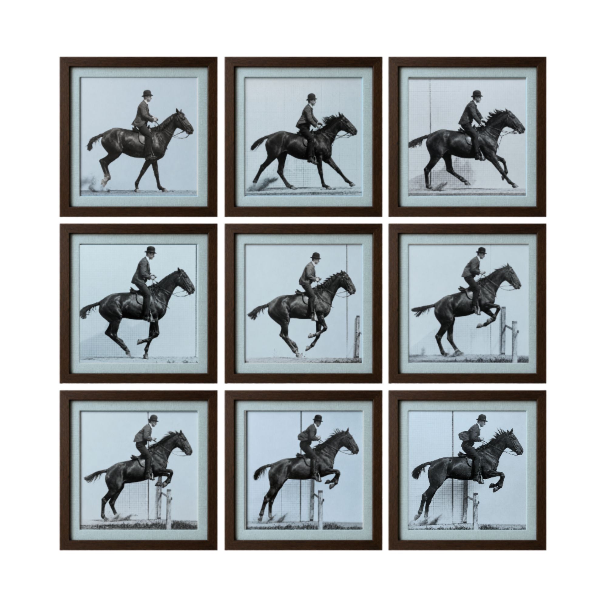 Gaucho | Unique Wall Art – Scout Design Studio