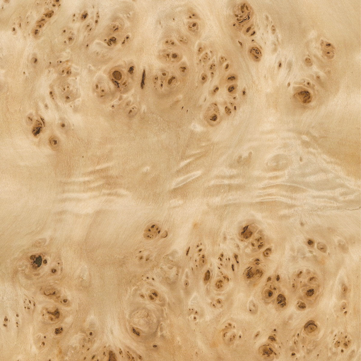 #color_natural-mappa-burl