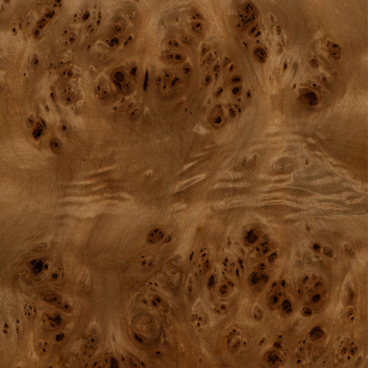 #color_provincial-mappa-burl