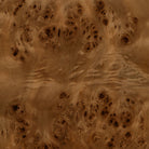 #color_provincial-mappa-burl