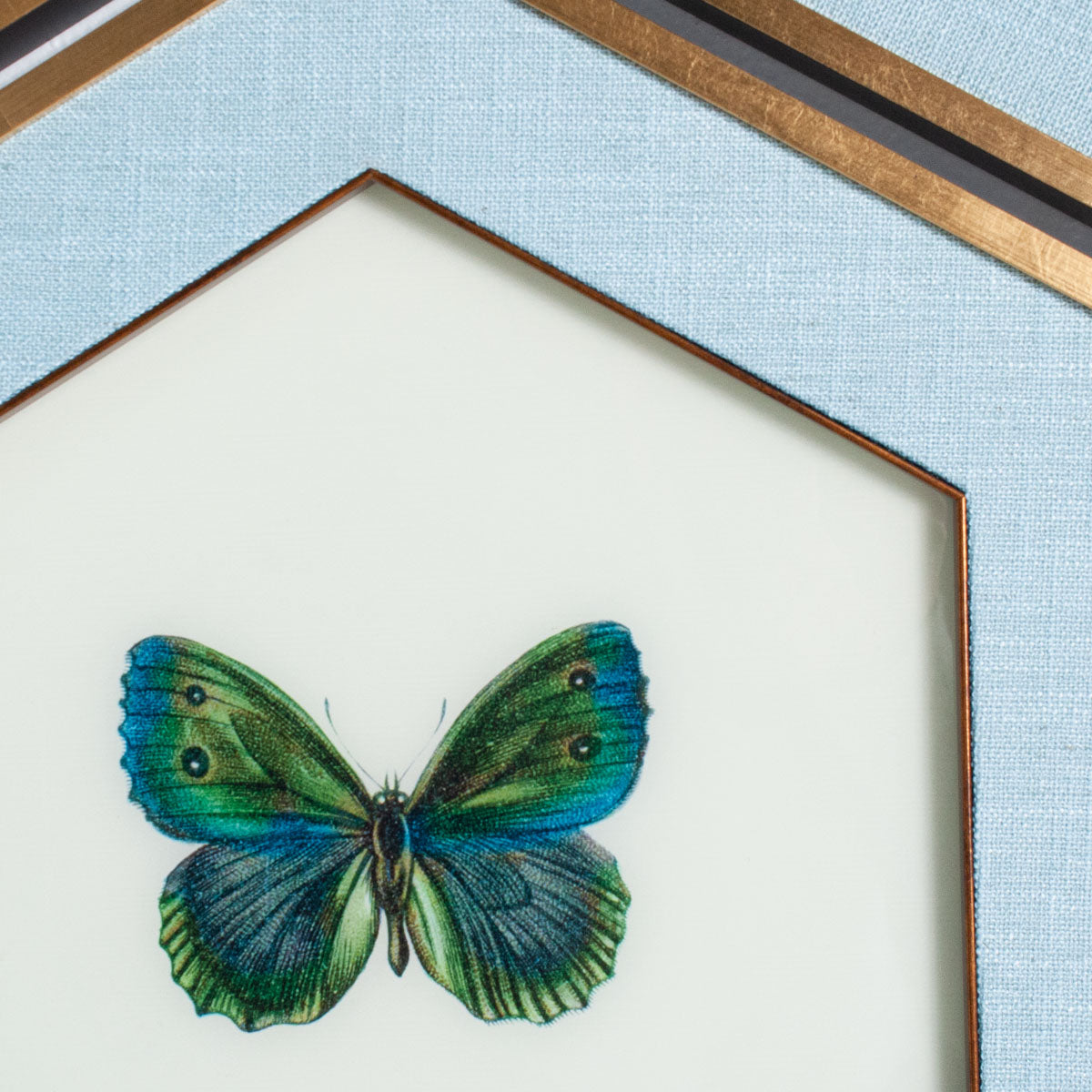Butterfly Hexagon Art - Set of 6 – Scout Design Studio