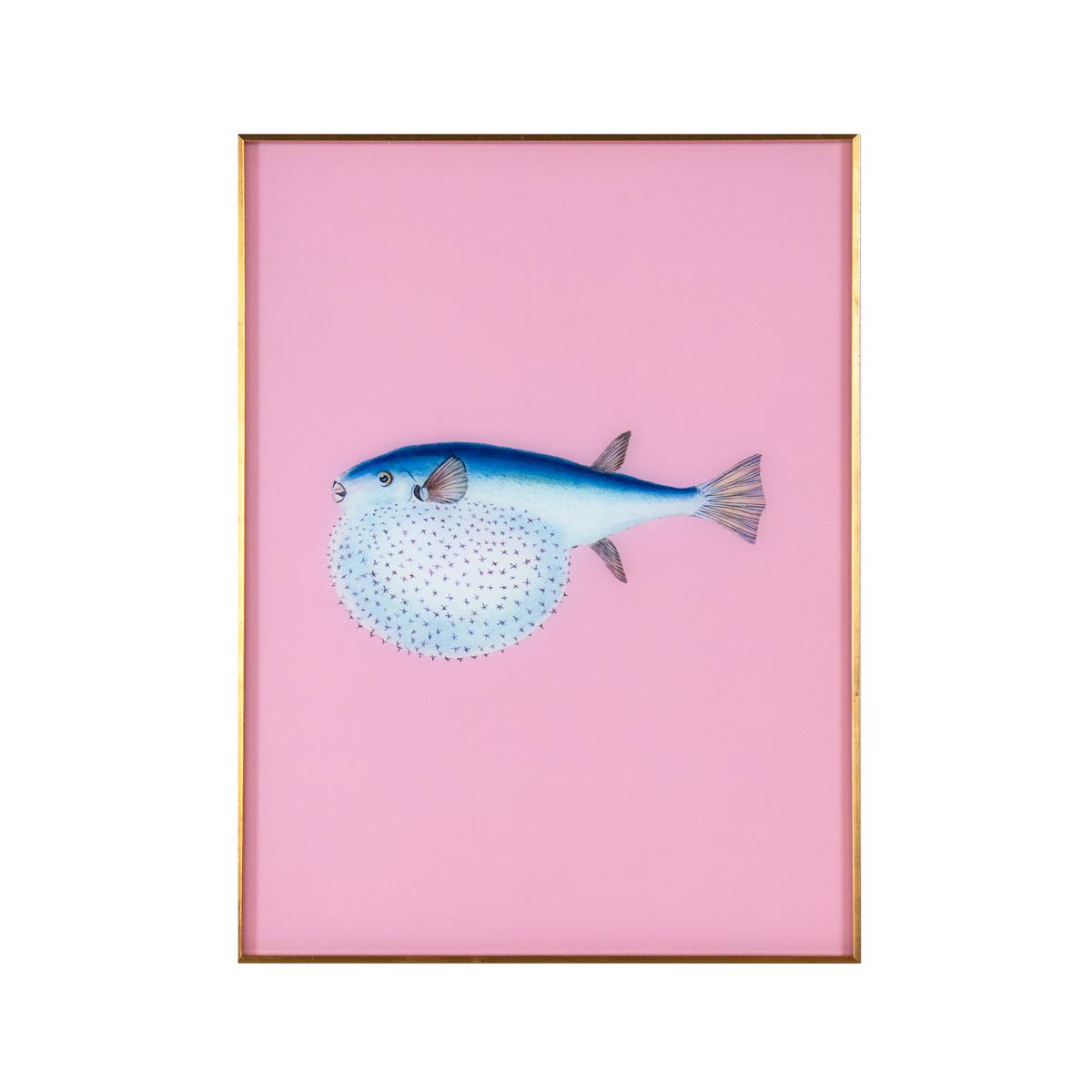Framed Fish Print in Mermaid Pink | Printed Wall Art – Scout Design Studio