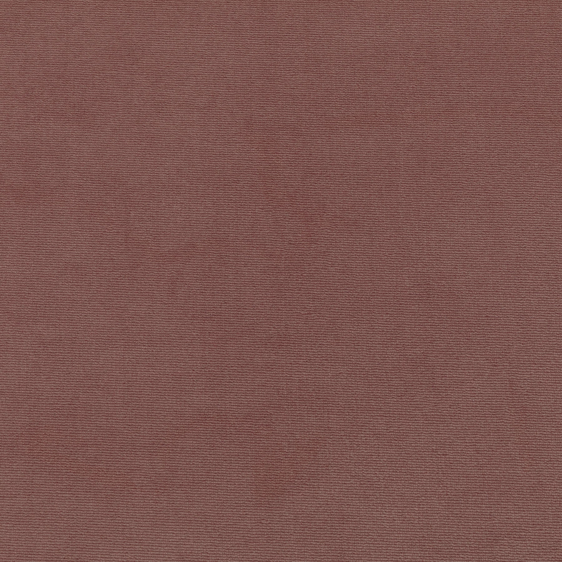 Lela Dusty Rose Velvet Fabric – Scout Design Studio