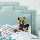 #color_elie-plum-velvet